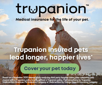 Pet Insurance We Trust!