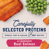 Natural Balance Limited Ingredient Grain Free Salmon & Green Pea Recipe Dry Cat Food