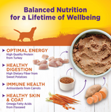Wellness Complete Health Natural Turkey and Sweet Potato Recipe Wet Canned Dog Food