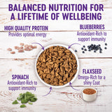 Wellness Complete Health Natural Small Breed Adult Turkey and Oatmeal Recipe Dry Dog Food