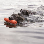 KONG Training Dummy Floating Dog Toy