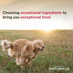 Diamond Naturals Skin & Coat Formula All Life Stages Dry Dog Food
