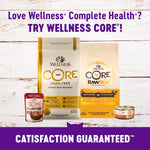 Wellness Complete Health Indoor Health Deboned Chicken & Chicken Meal Recipe Dry Cat Food