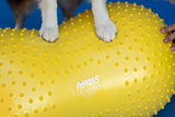 FitPAWS® TRAX™ Peanut - Zen Dog RI