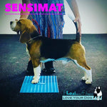 Flexiness® SensiMat - Zen Dog RI