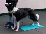 Flexiness® SensiMat - Zen Dog RI