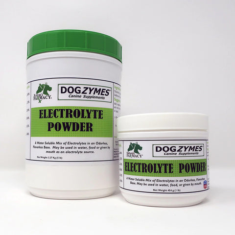 Dogzymes Electrolyte Powder - Zen Dog RI