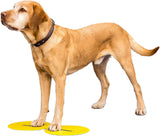 FitPAWS® Targets - Zen Dog RI
