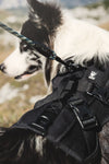 Trail pack - Zen Dog RI